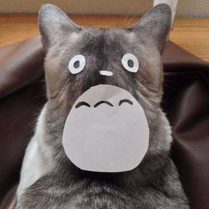 動物のかわいい後頭部画像ください