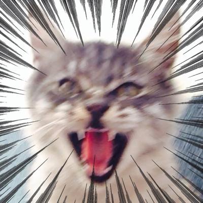 彼氏、旦那が合コンへ行くと言ったら?
