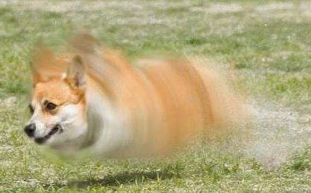 色々なものが飛んでる画像を貼るトピ