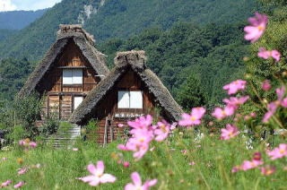 好きな街並み