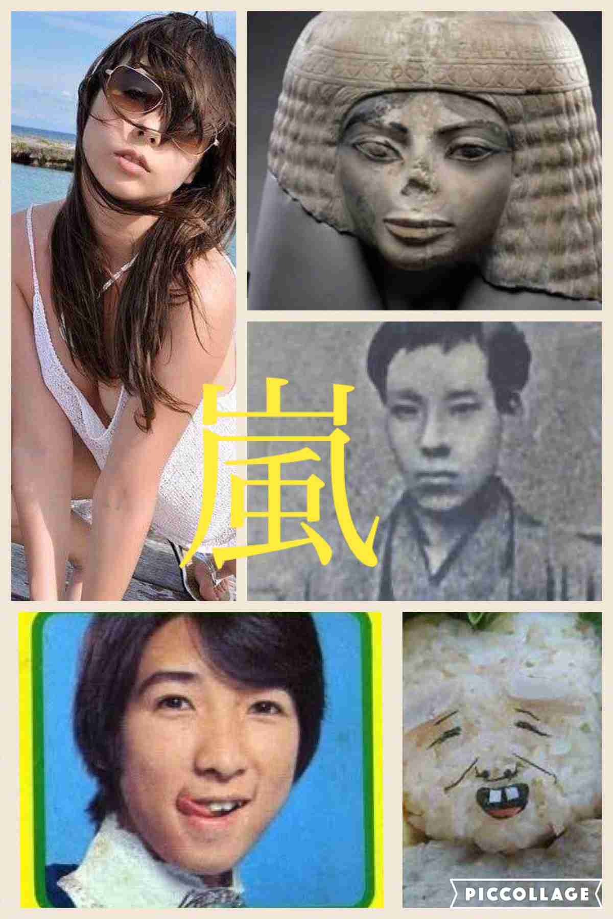 そっくりさんで、嵐を完成させよう!