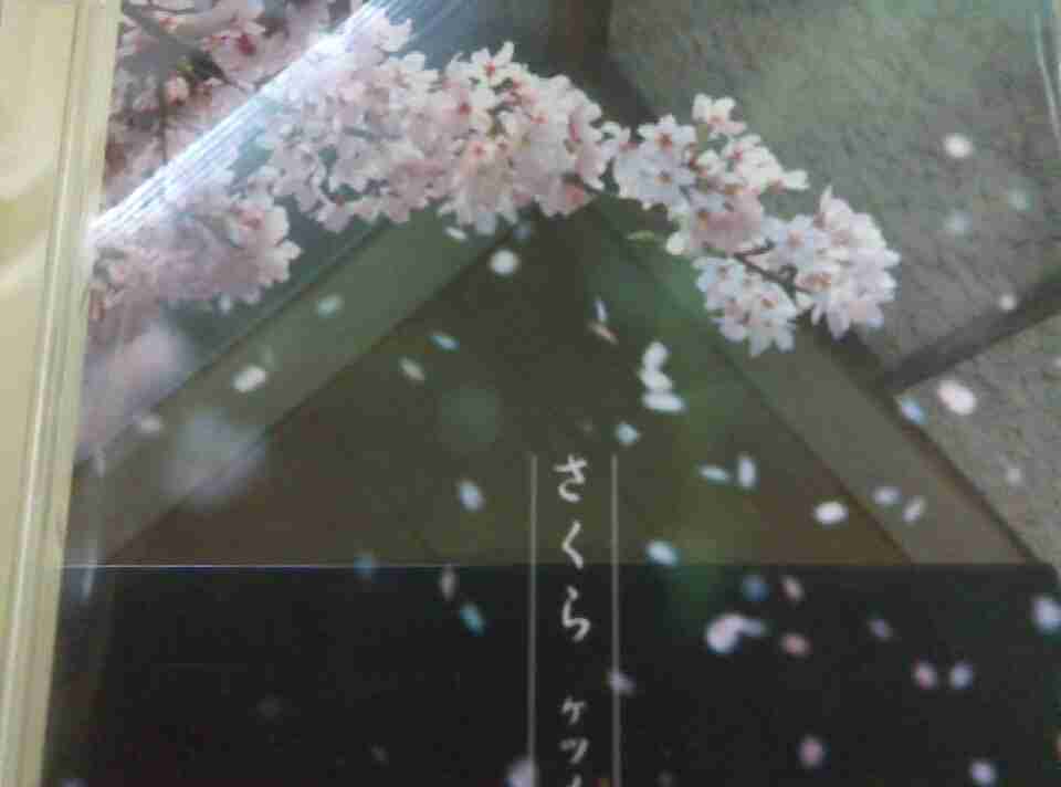 サビが歌える曲にプラス