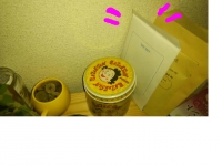 【家計】5週間やりくり実践している方