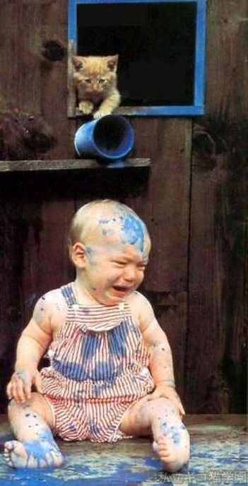 見たら叱りたくなる画像を貼るトピ
