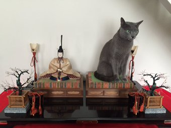 見たら叱りたくなる画像を貼るトピ