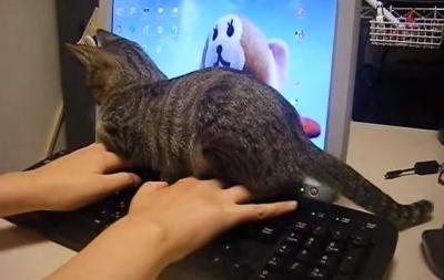 見たら叱りたくなる画像を貼るトピ