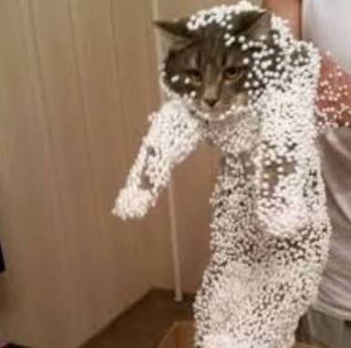 見たら叱りたくなる画像を貼るトピ
