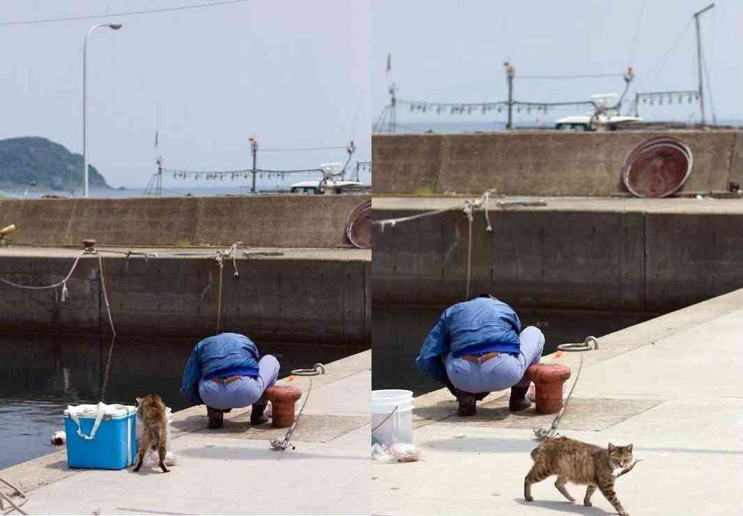 見たら叱りたくなる画像を貼るトピ