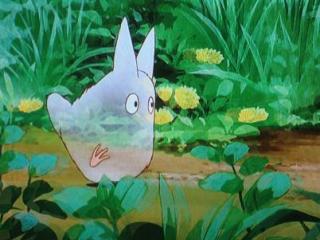 【画像】白くて丸くて可愛いもの