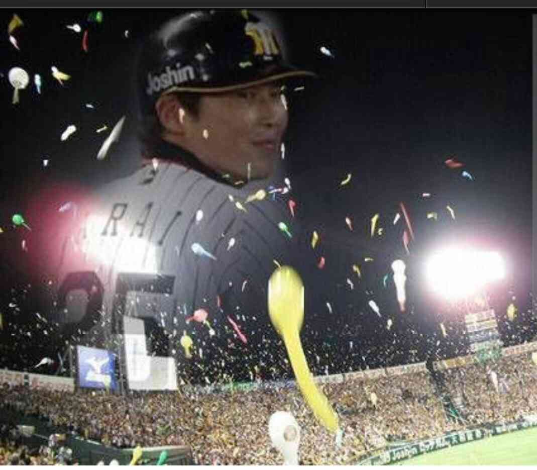阪神タイガース好きな人ー!