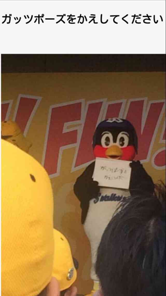 阪神タイガース好きな人ー!
