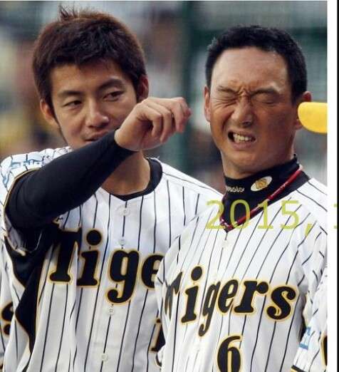 阪神タイガース好きな人ー！