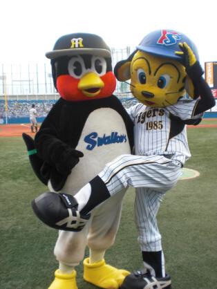 阪神タイガース好きな人ー!