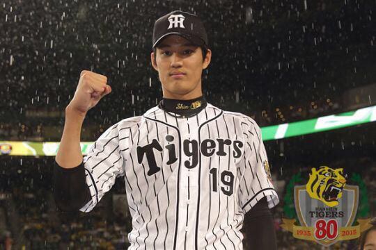 阪神タイガース好きな人ー！