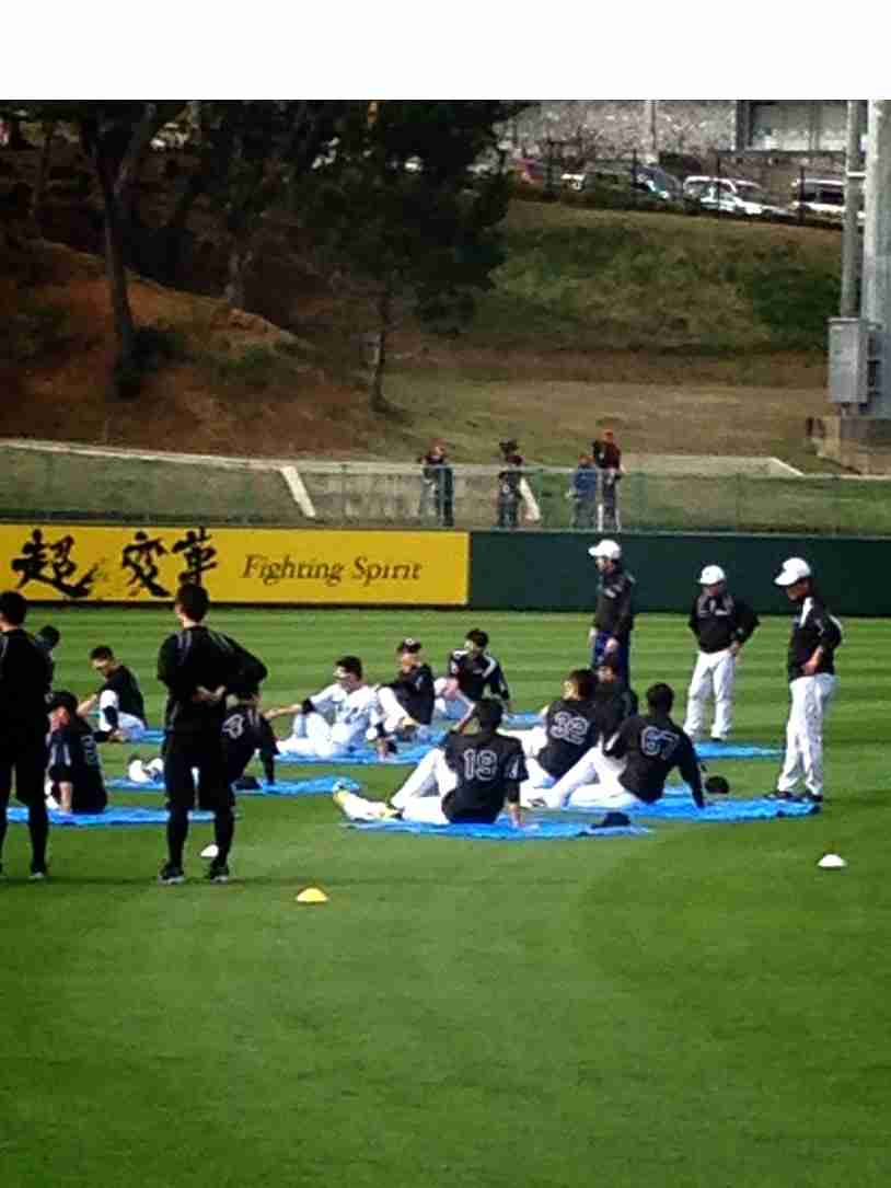 阪神タイガース好きな人ー!