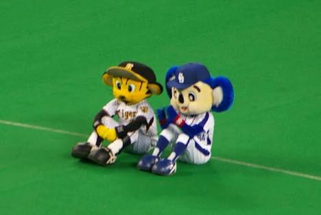 阪神タイガース好きな人ー!