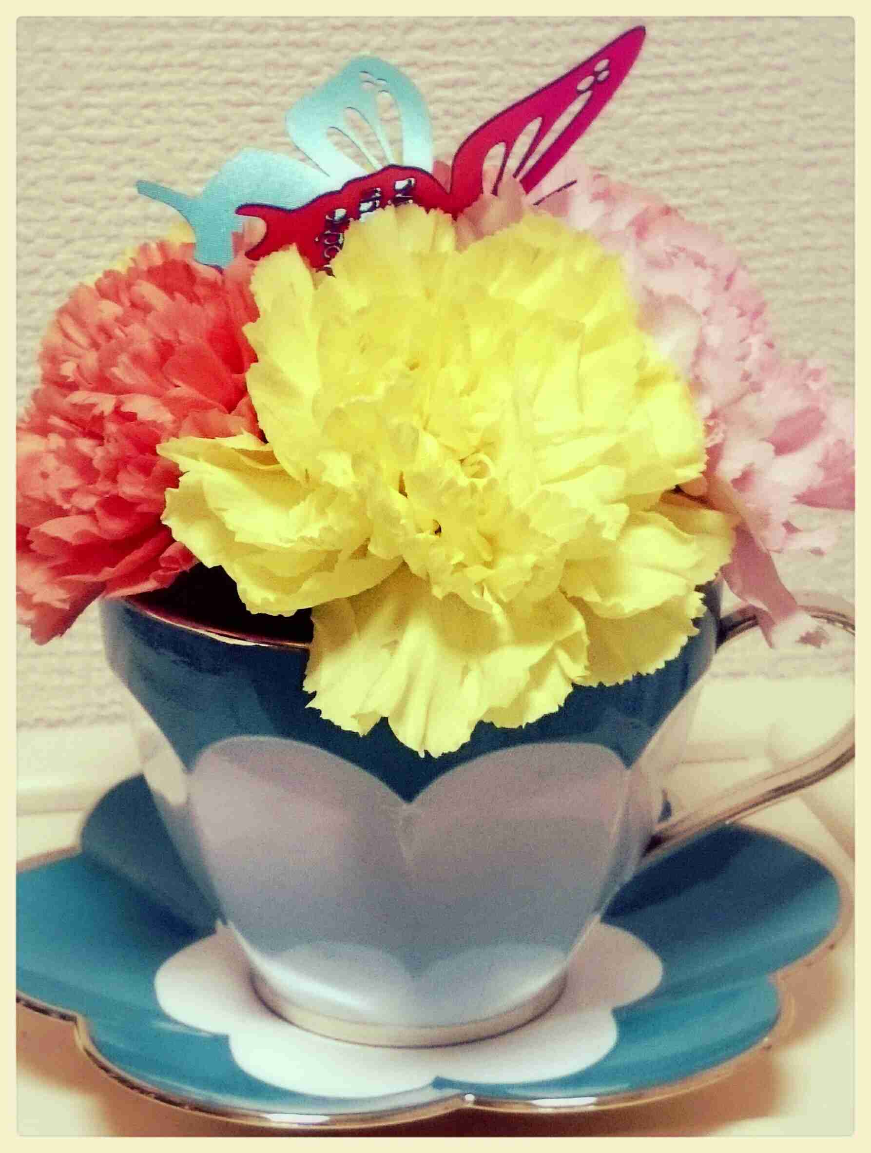 もらったら嬉しい花は？