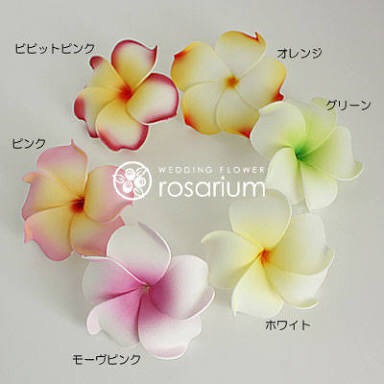 もらったら嬉しい花は？