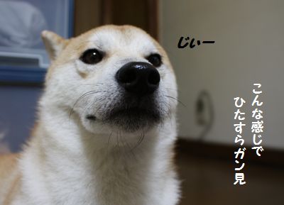 男性に可愛いって言ったことある人、相手の反応どうでしたか？