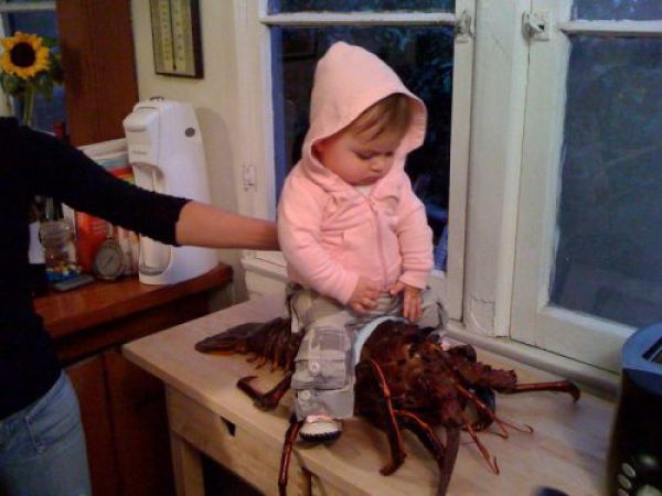 可愛い外国人の子供の画像を貼るトピ