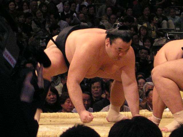 鳥が好きな人!