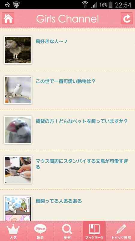 鳥が好きな人!