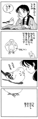 鳥が好きな人!