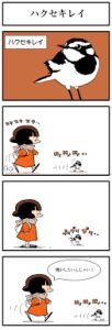 鳥が好きな人!