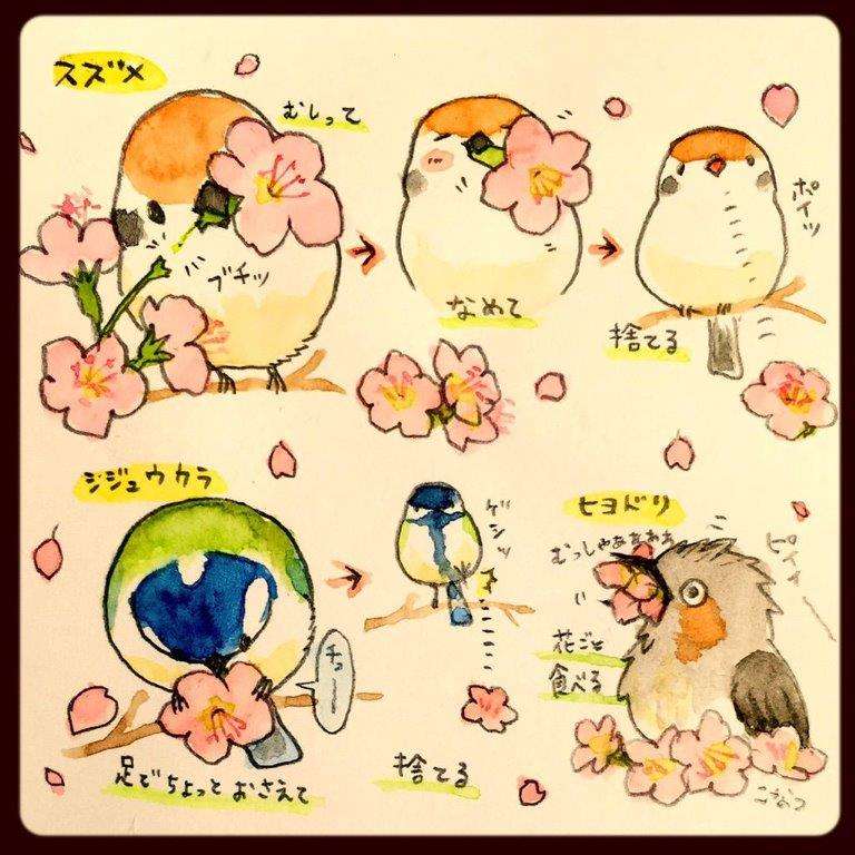 鳥が好きな人!