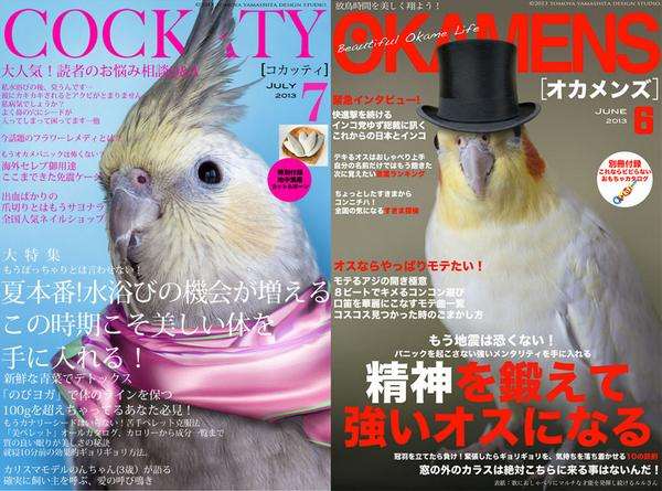 鳥が好きな人!