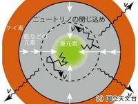 鳥が好きな人!