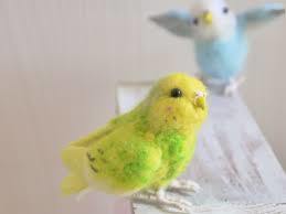 鳥が好きな人!