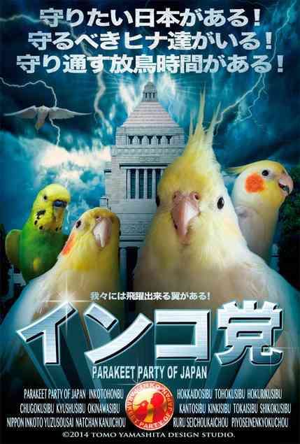 鳥が好きな人!