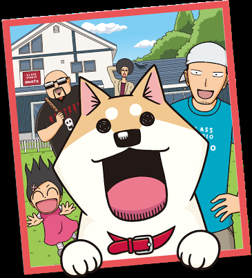 大人買いした漫画やDVD