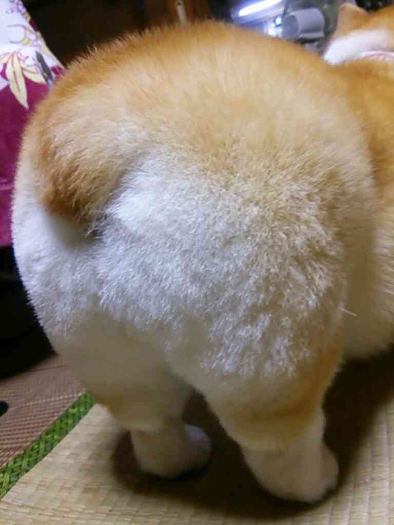 誰がなんと言おうと好き！って物や人。