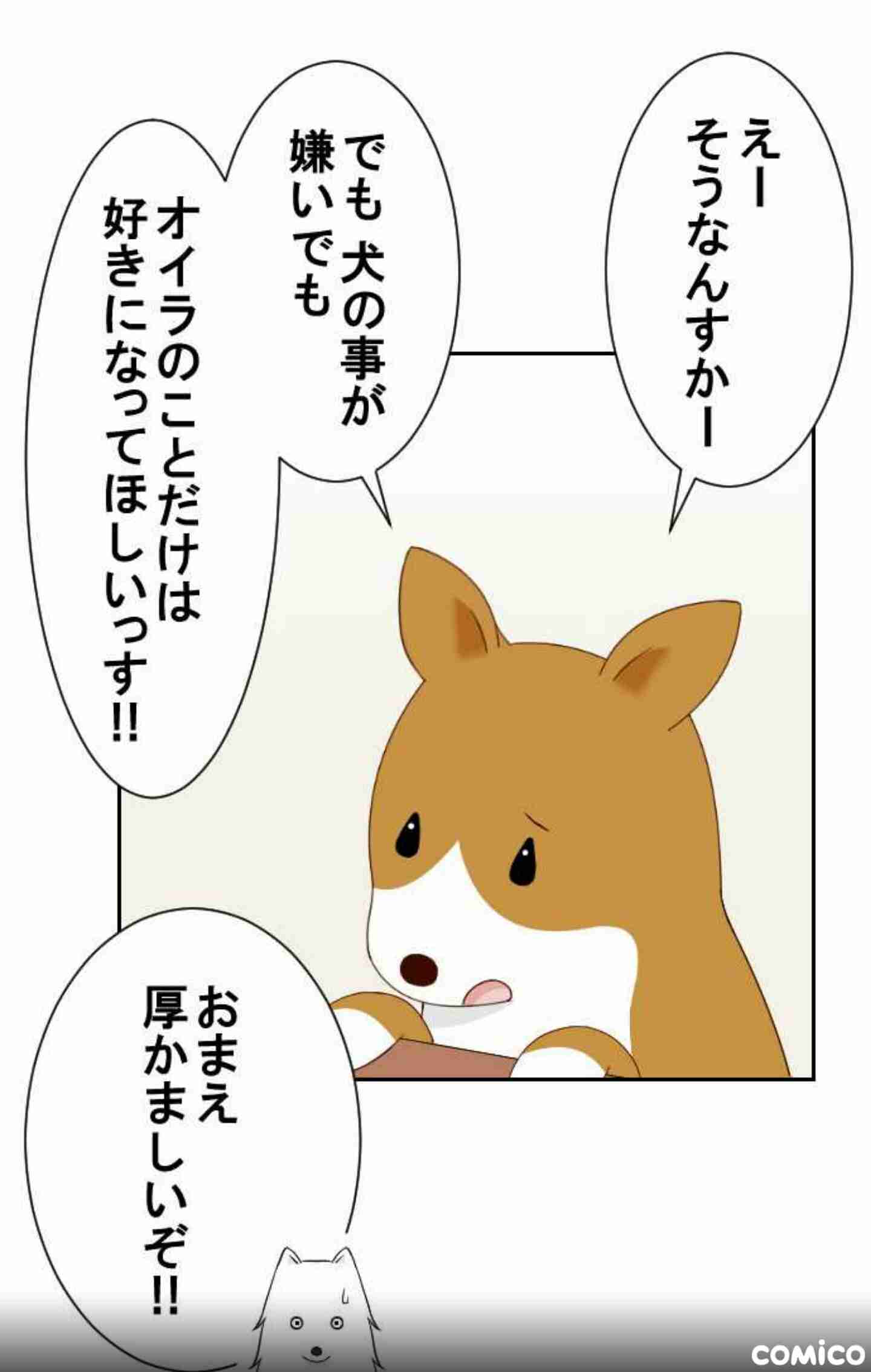 コーギーが好きな人語り合いませんか?
