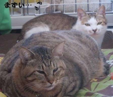深く心地よい眠りのために