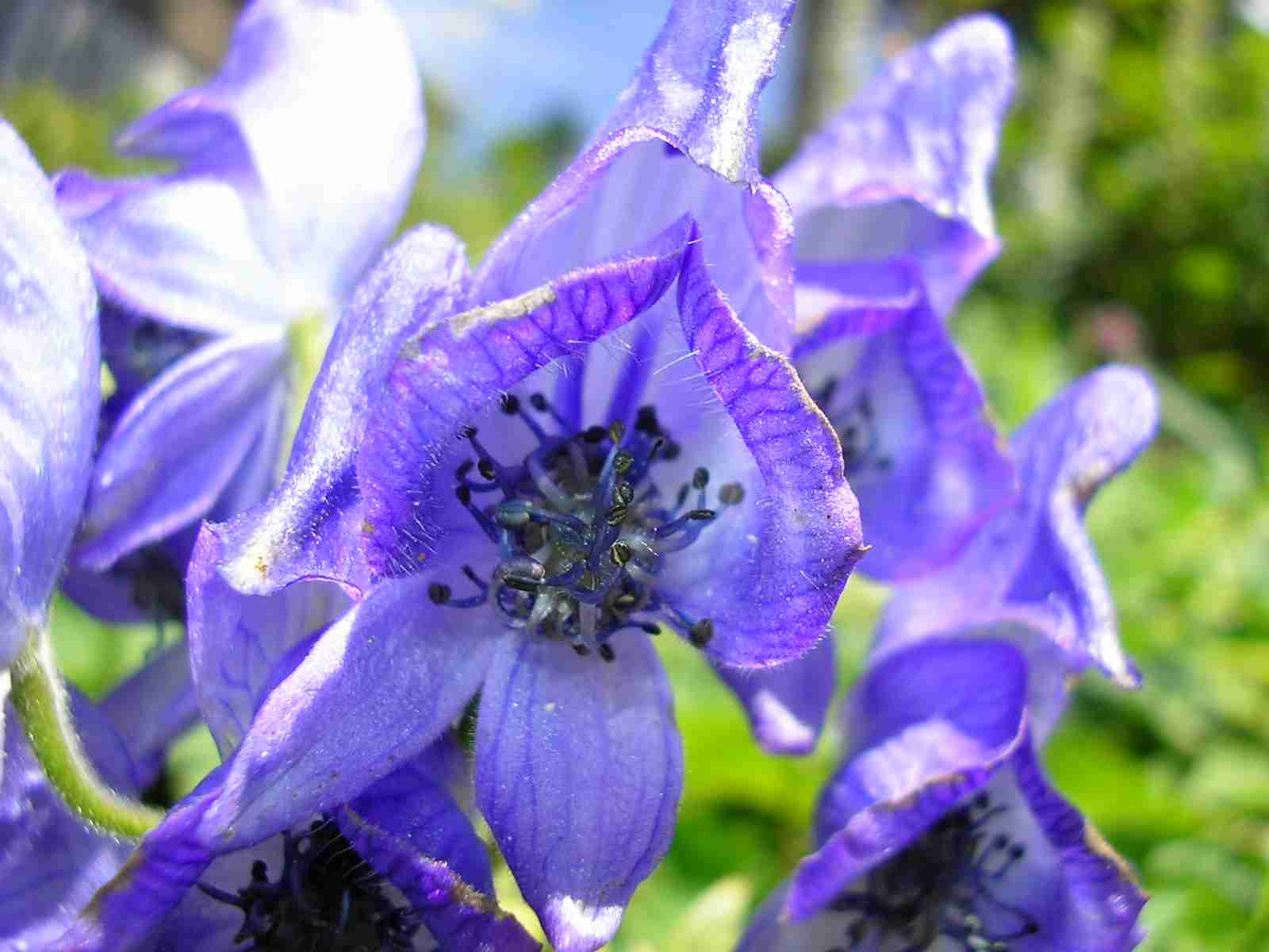 【恐怖】 入浴中の夫を硫化水素で殺害しようとした妻逮捕 夫は臭いで気づいて一命取り留める