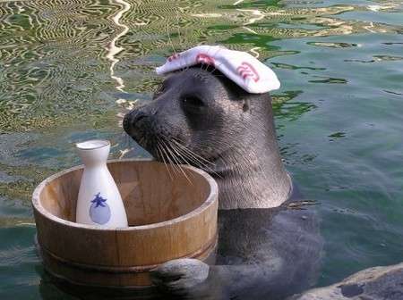ガルちゃん温泉旅行