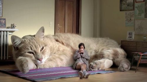 ガルちゃん猫カフェ本日オープン♪