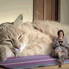 ガルちゃん猫カフェ本日オープン♪