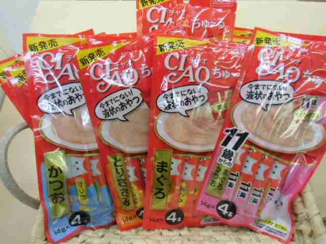 ガルちゃん猫カフェ本日オープン♪