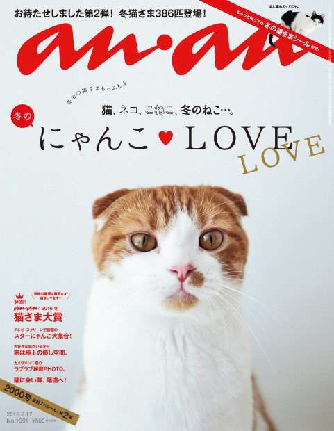 ガルちゃん猫カフェ本日オープン♪