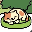 ガルちゃん猫カフェ本日オープン♪