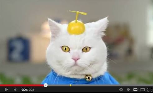 ガルちゃん猫カフェ本日オープン♪