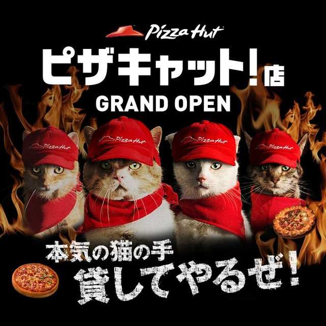 ガルちゃん猫カフェ本日オープン♪
