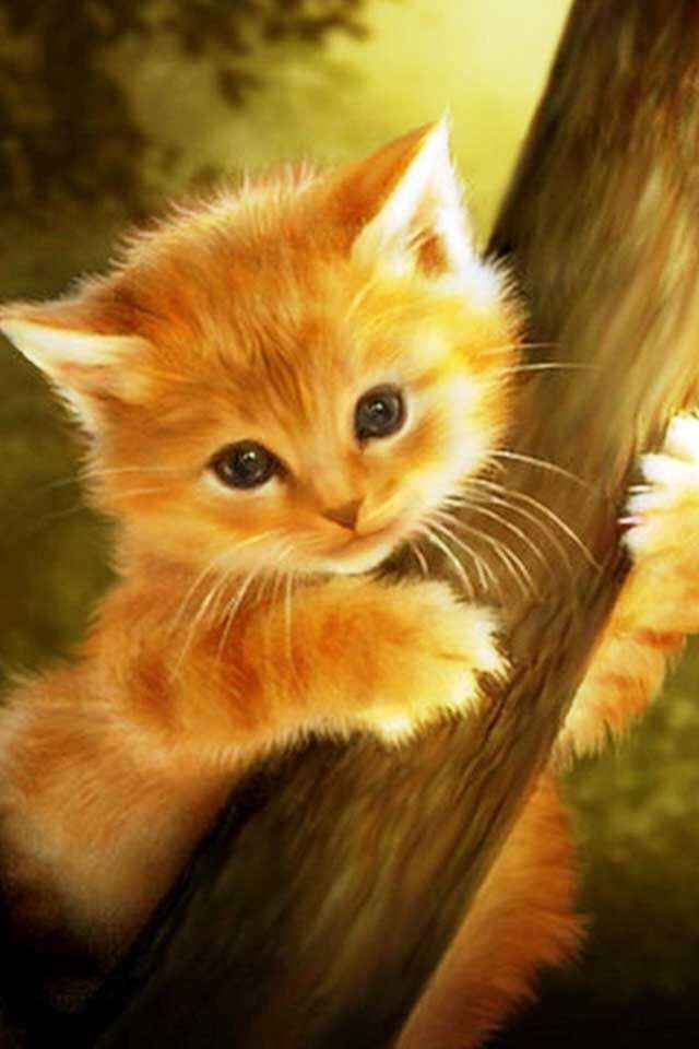 ガルちゃん猫カフェ本日オープン♪
