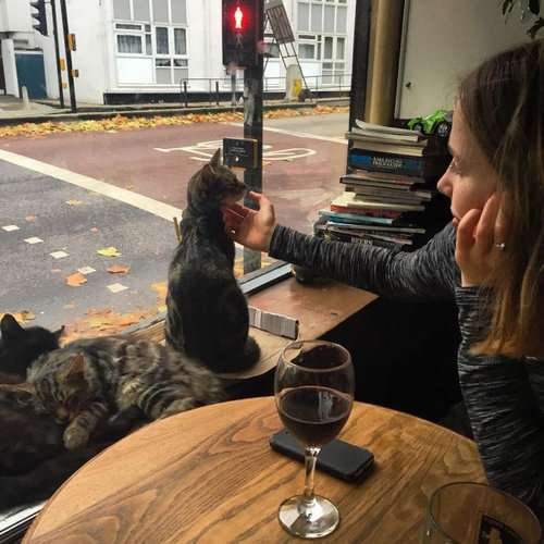 ガルちゃん猫カフェ本日オープン♪