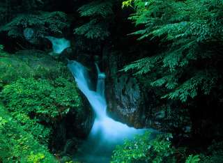 GReeeeN好きな人集合！