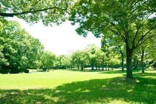 GReeeeN好きな人集合！